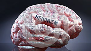 Hedonism and a human brain photo