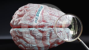 Hedonism in human brain photo