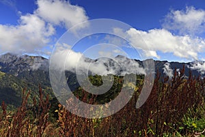 Hehuan Mountain,Taiwan