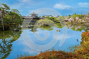 Heian Jingu Garden during full bloom cherry blossom in Heian Shrine, Kyoto, Japan