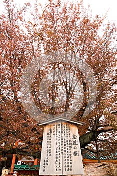 Heian Shrine in Kyoto, Japan