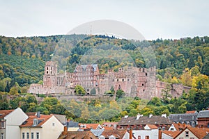 The Heidelberg castle,Germany.