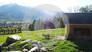 Heidiland in Switzerland