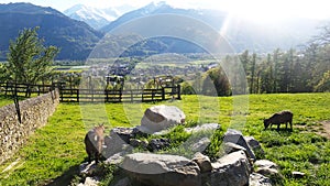 Heidiland in Switzerland