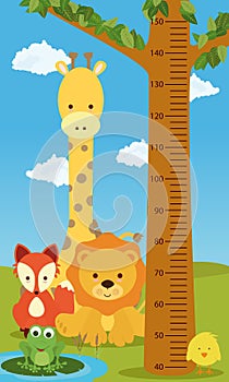 Height chart animals