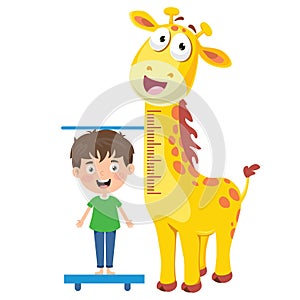 Height Measure For Little Children