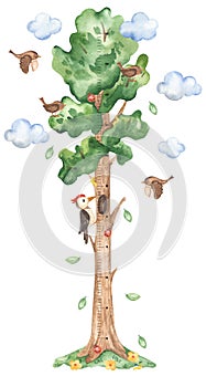 Height meter watercolor fairytale tree with birds, insects, clouds