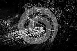 Heightened security at the gate