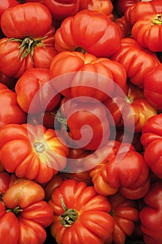 Heirloom Organic Tomatoes