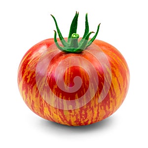 Heirloom tomato photo