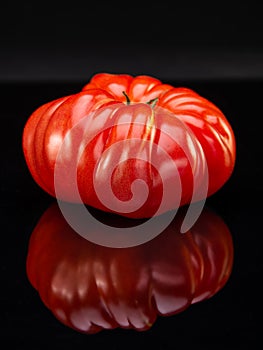 Heirloom Tomatoe on Black Wet Glass with Reflection