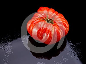 Heirloom Tomatoe on Black Wet Glass with Reflection