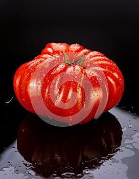 Heirloom Tomatoe on Black Wet Glass with Reflection