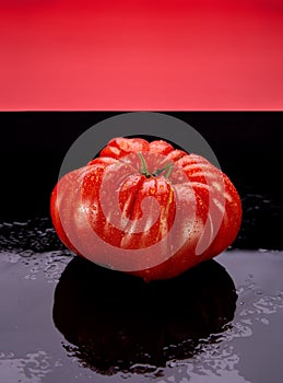 Heirloom Tomatoe on Black Wet Glass with Reflection Red Background