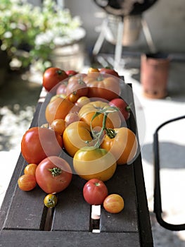 Heirloom Tomatoes