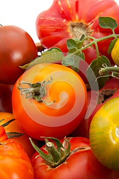 Heirloom tomatoes photo
