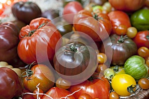 Heirloom tomatoes.