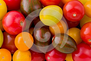 Heirloom Tomatoes