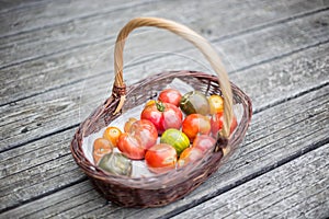 Heirloom tomatoes in a basket