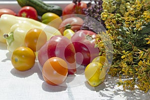 Heirloom tomatoes, pepper, cucmber, organic vegetables