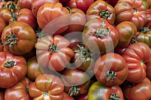 Heirloom tomatoes in a pile at the Farmers\' Market, beautiful fresh vegetable with an exceptional taste