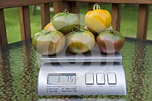 Heirloom Tomatoes On Produce Scale