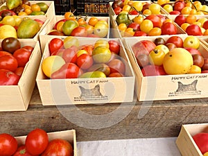 Heirloom tomatoes for sale in farmer's market in summer