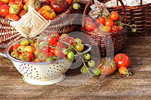 Heirloom variety tomatoes in baskets on rustic table. Colorful tomato - red,yellow , orange. Harvest vegetable cooking