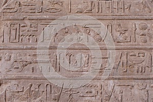 Heiroglyphs