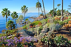 Heisler Park landscaped gardens, Laguna Beach, California.