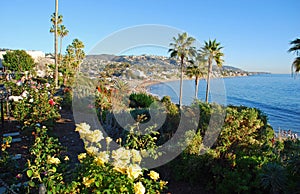 Heisler Park landscaped gardens, Laguna Beach, California.