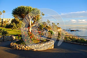Heisler Park's landscaped walkways above Divers Cove Beach area, Laguna Beach, California.