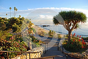 Heisler Park's landscaped walkways above Divers Cove Beach area, Laguna Beach, California.