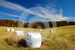 Helen's Farm At Fall Season