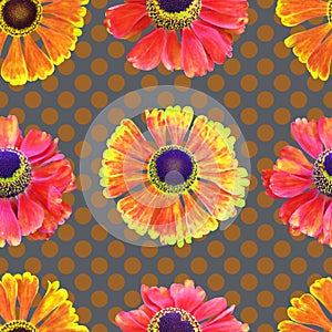 Helenium summer flowers seamless pattern on polka dot background