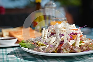 Helianthus tuberosus salad healthy breakfast for weight loss.