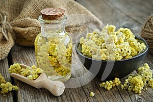 Helichrysum arenarium infusion bottle and dwarf everlast or immortelle flowers in black bowl on wooden table.