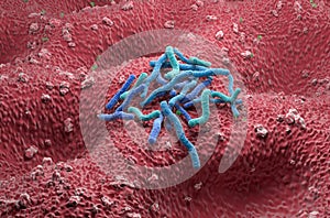 Helicobacter Pylori Bacteria field on the stomach wall - isometric view 3d illustration