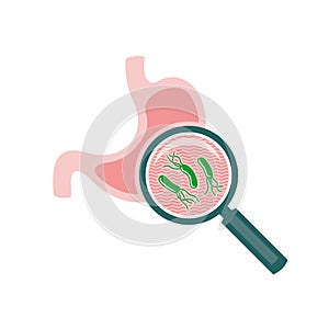 Helicobacter pylori bacteria stomach research illustration.