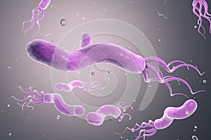 Helicobacter pylori, bacterium which causes gastric and duodenal ulcer