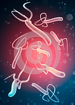 Helicobacter pylori is a gram-negative, flagellated, helical bacterium.