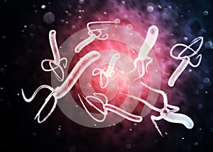 Helicobacter pylori is a gram-negative, flagellated, helical bacterium. photo