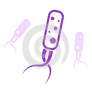 Helicobacter Pylori icon