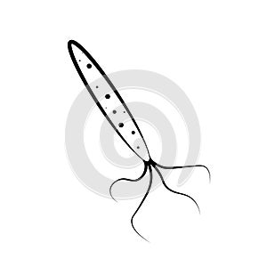 Helicobacter Pylori icon