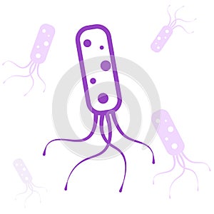Helicobacter Pylori icon