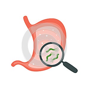 Helicobacter Pylori in the stomach. Stomach diseases. Bacterium with flagella that causes gastritis.