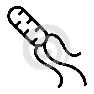 Helicobacter pylori vector illustration, line style icon