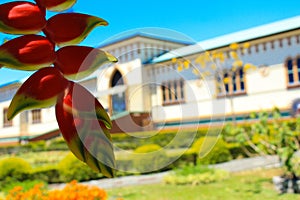 Heliconia in front first plane with beautiful blurred garden and antique edification or old military castle in Cartago Costa Rica