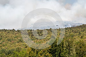 Helicopter against wildfire during strong wind and drought