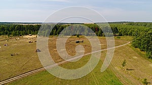 Helicopter arrived on green field. Helicopter landed on yellow grass, cloudy day. Flying drone and green wheat field